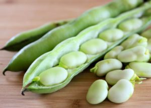 Vegetable beans